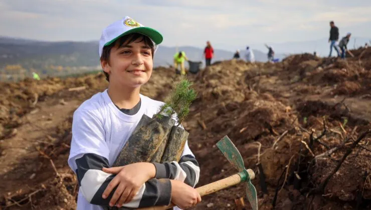 Vali Sözer: “Diktiğimiz Her Fidan, Geleceğe Umut, Doğaya Nefes Olacak”11 Kasım Milli Ağaçlandırma Günü’nde 5.000 Fidan Toprakla Buluştu
