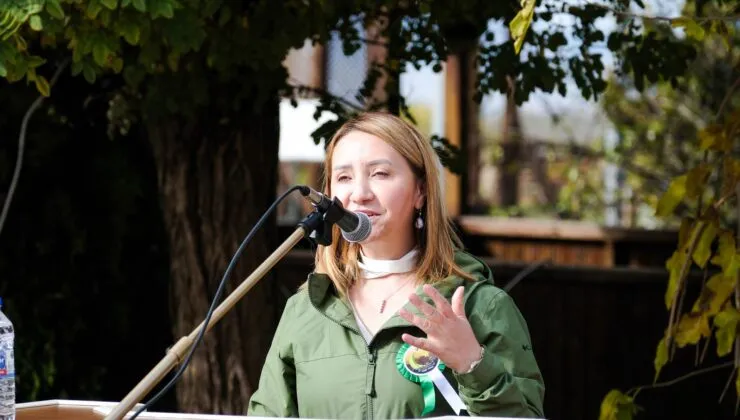 Pazaryeri Geleceğe Nefes Oldu11 Kasım Milli Ağaçlandırma Günü’nde fidanlar toprakla buluştu 🌱