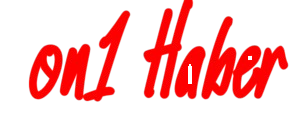 On1 Haber
