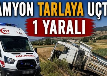 KAMYON TARLAYA UÇTU: 1 YARALI