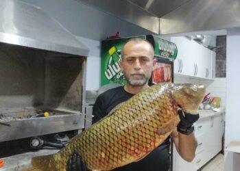 DEV SAZAN BALIĞI YAKALANDI